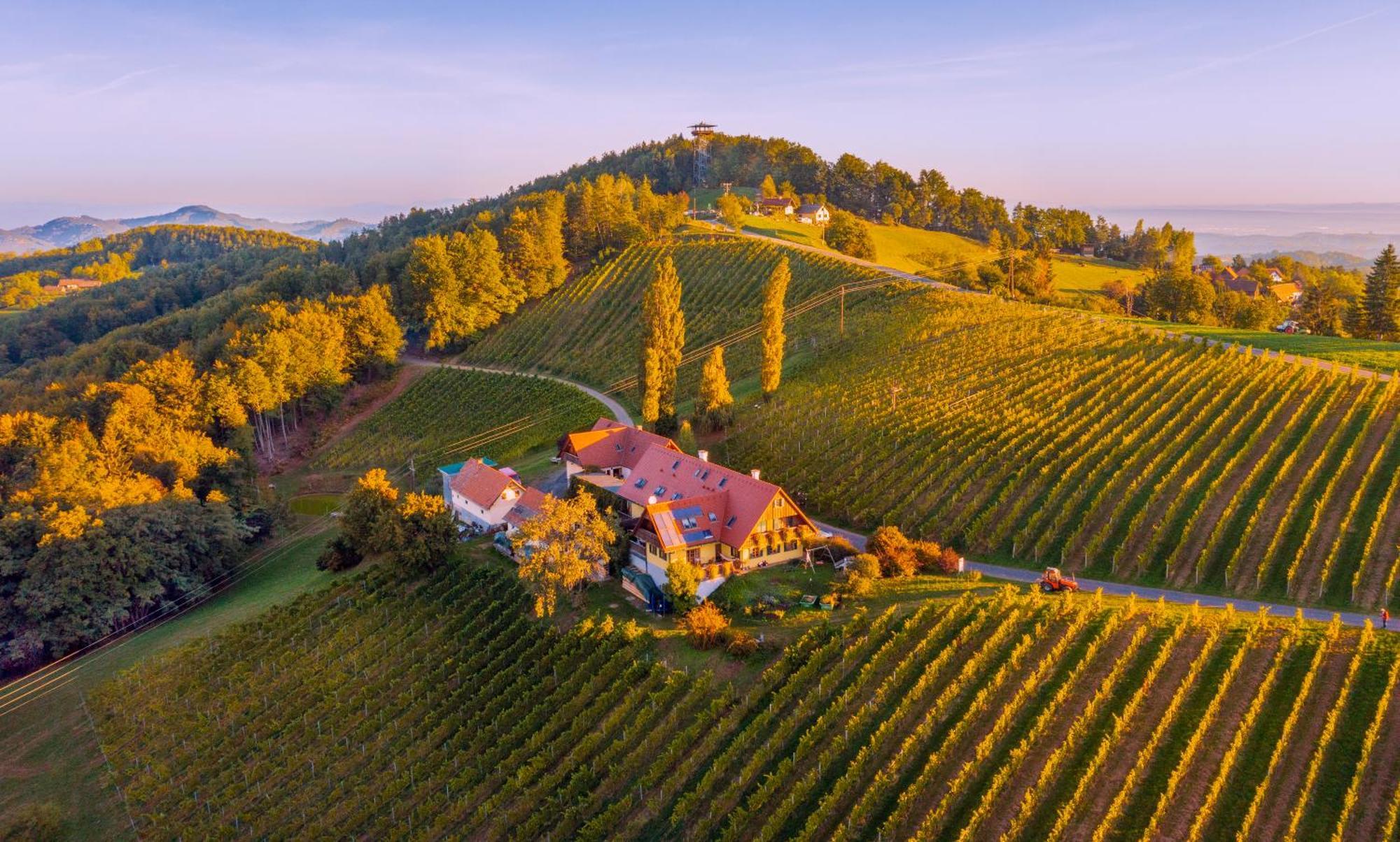 Weingut Winzerzimmer Rothschaedl Leutschach Exteriör bild